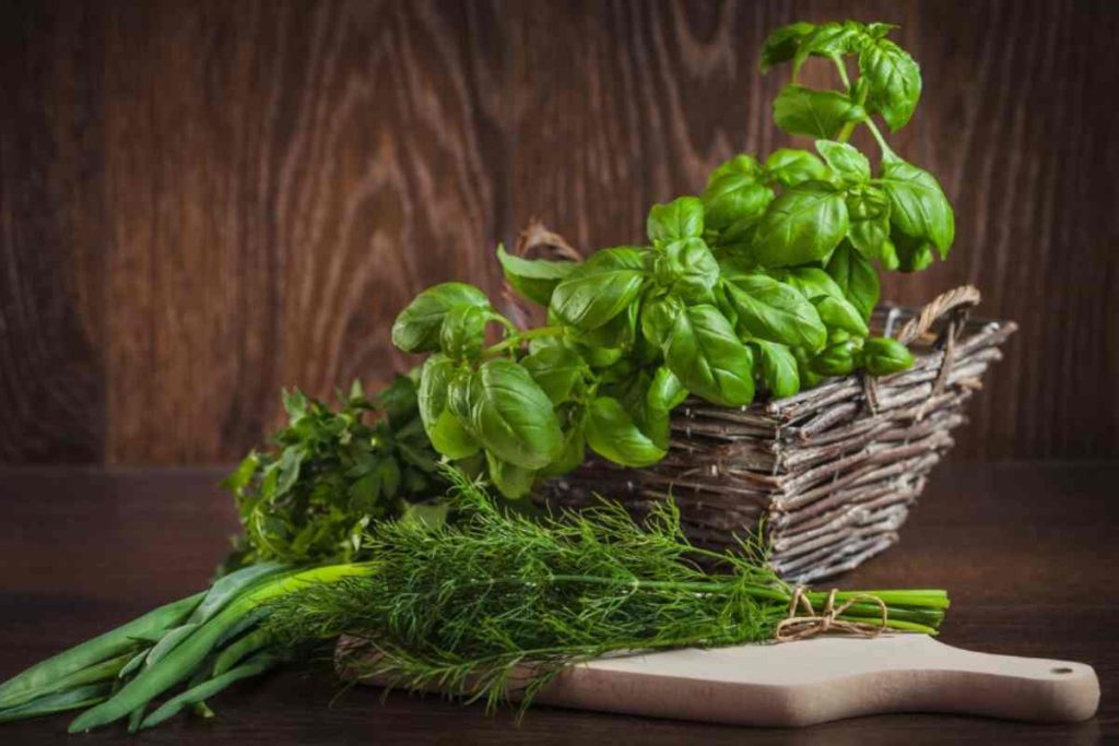Basilico