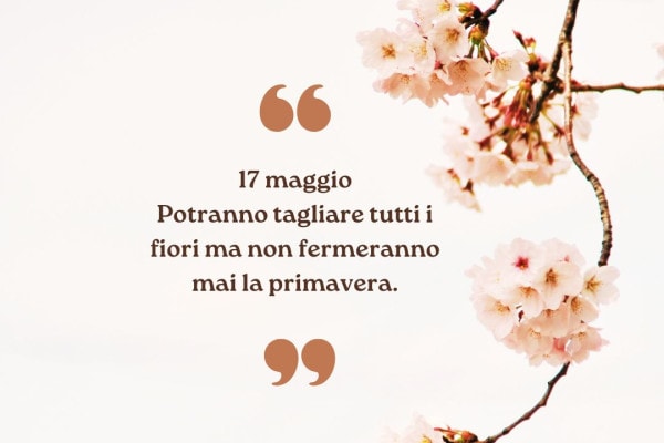 Buongiorno_17_maggio_tra_rifle