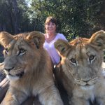 Come femmine e maschi si ribaltano i ruoli nel mondo animale: storie, sorprese e nuovi equilibri