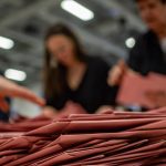 Come votare all’estero al referendum del 2025: modalità, scadenze e diritti degli italiani residenti fuori