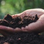 Contributo per giovani imprenditori agricoli: credito d’imposta per corsi di formazione e spese ammissibili nel 2024