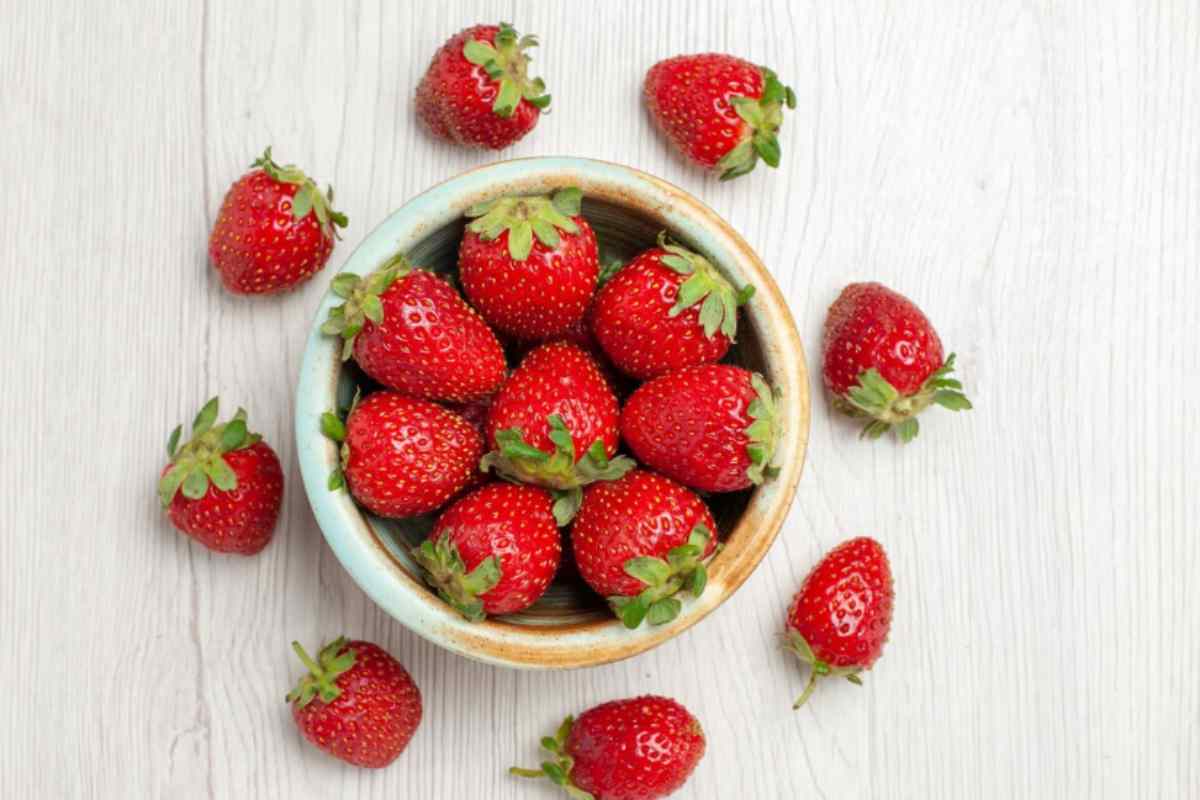 Fragole