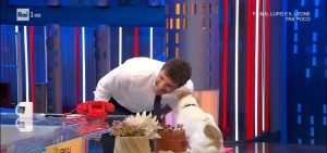 Gennarino_il_cane_che_ha_conqu