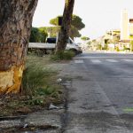 Grave incidente sulla via ardeatina a Roma: un morto e quattro feriti il 24 maggio 2025