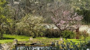 I_giardini_pi%C3%B9_belli_al_mondo_