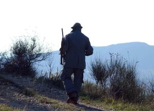 Il_Tar_Lombardia_vieta_la_cacc