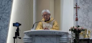 Il_cardinale_joseph_zen_critic