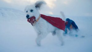 Il_super_cane_krypto_di_superm