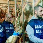 Irregolarità sanitarie in un salumificio di cesena con prodotti scaduti da anni sequestrati dai nas