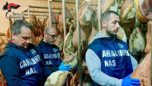 Irregolarit%C3%A0_sanitarie_in_un_s
