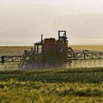L’export agroalimentare italiano cresce del 7,1% nel 2024 superando i 28 miliardi di euro all’estero