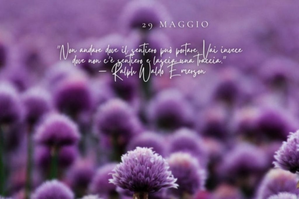 La_frase_del_giorno%2C_il_santo_