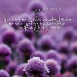 La frase del giorno, il santo e l’oroscopo del giovedì 29 maggio 2025