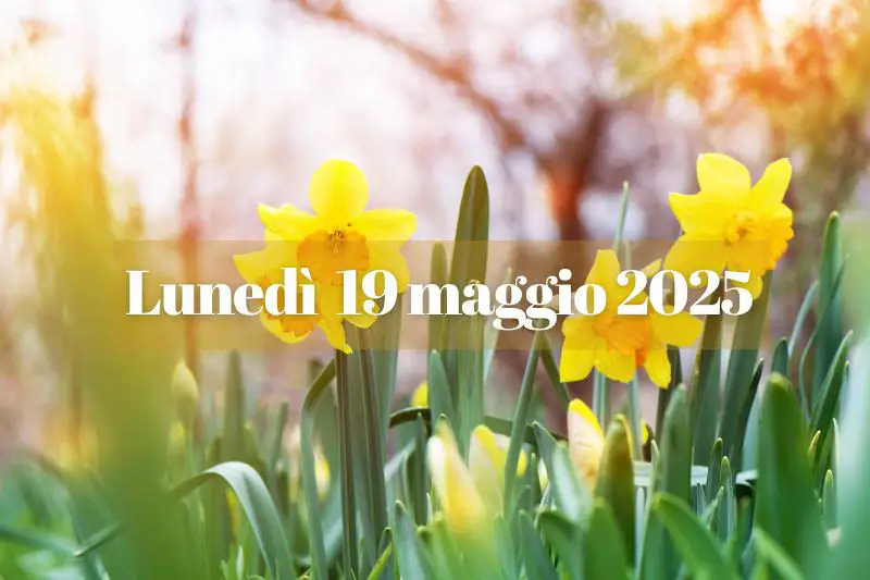 Luned%C3%AC_19_maggio_2025_tra_rico