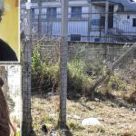 Martina di Afragola uccisa a 14 anni: il dramma di una famiglia e il dibattito sulla responsabilità genitoriale