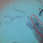 Nessuna traccia di sangue nell’impronta 33 sul muro vicino al corpo di chiara poggi, dice l’ex comandante ris