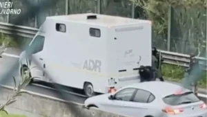 Rapina_da_3_milioni_di_euro_su