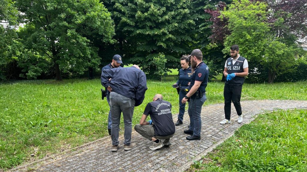 Resti_trovati_in_un_parco_di_P