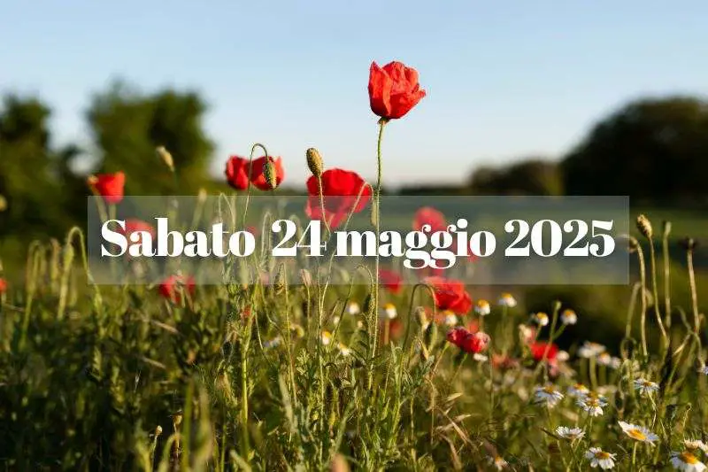 Sabato_24_maggio_2025_tra_avve