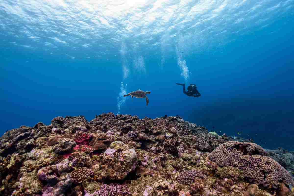 Sharm El Sheikh