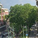 Spari in via Imbriani a Milano, danno l’allarme ma nessun ferito accertato nel pomeriggio