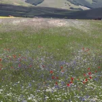 Temporali in arrivo in Umbria dopo un weekend di sole, nuova allerta gialla per alcune zone