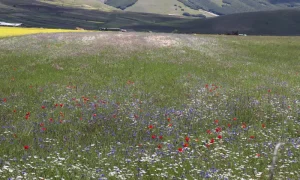 Temporali_in_arrivo_in_Umbria_