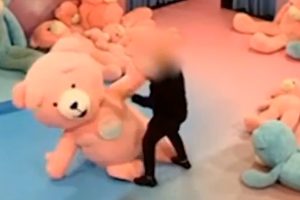 Una_donna_mascotte_aggredita_c