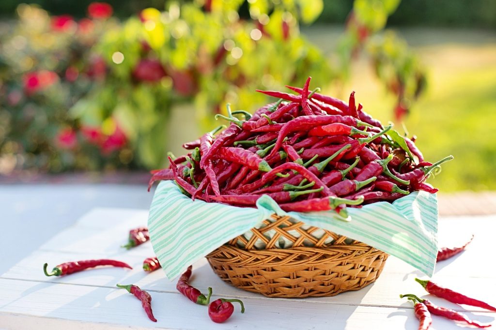 cayenne-peppers-2779828_1280