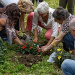 commemorazione per sofia castelli al parco di via negrinelli con piantumazione di fiori e piante