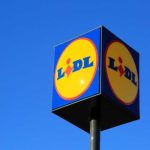 Da Lidl tornano le piante low cost: occasioni verdi a partire da 0,69€