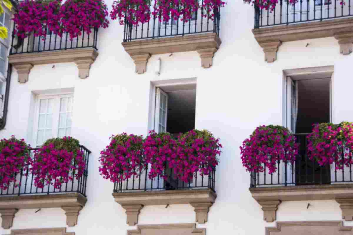 Fiori 