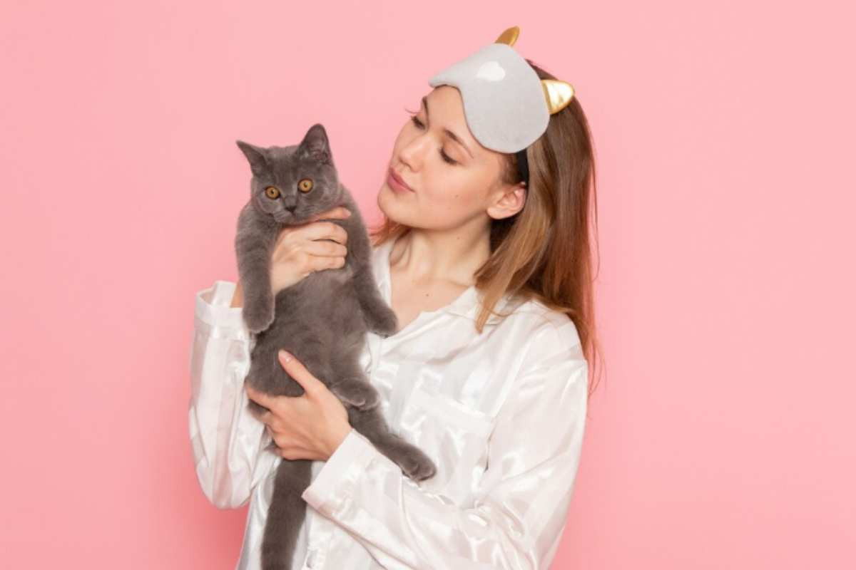 Gatti
