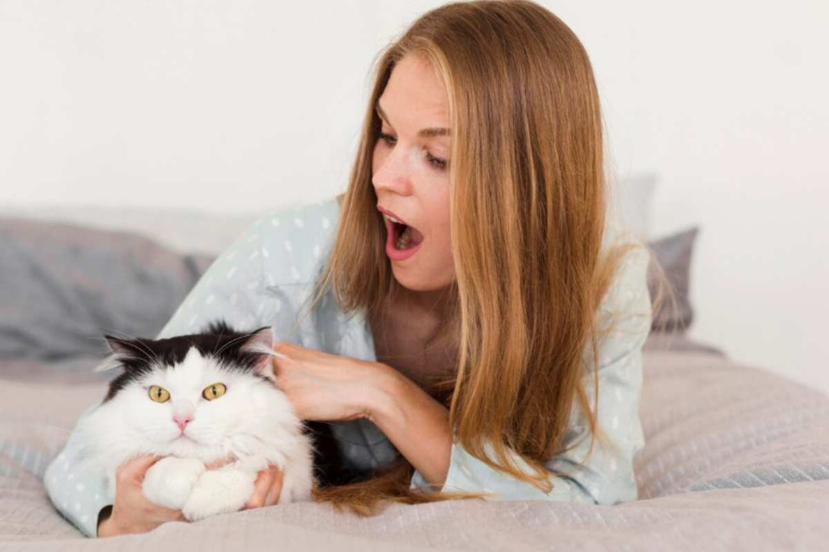 Gatti