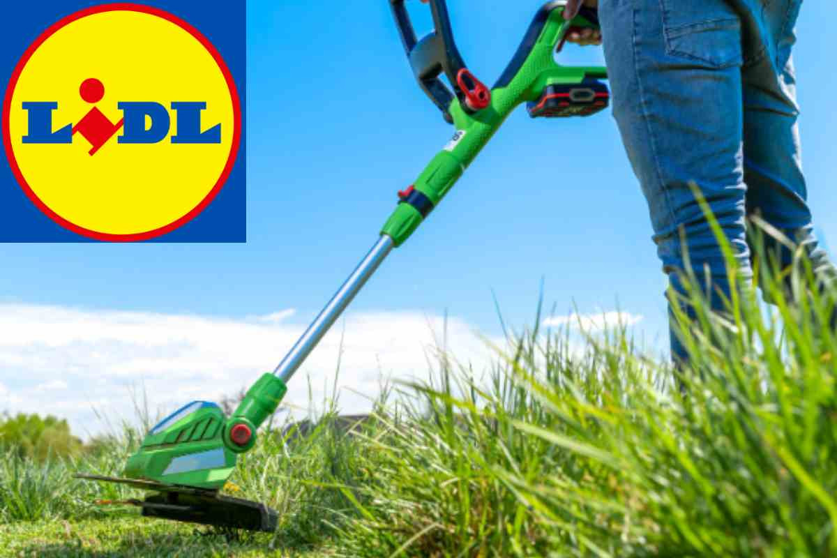 Lidl