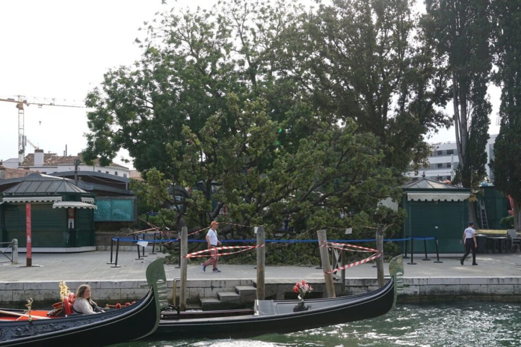 Un_albero_cade_su_turisti_a_ve