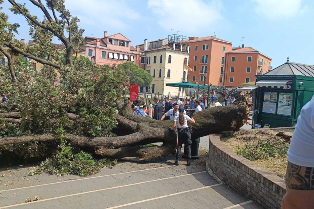 Un_albero_crolla_a_piazzale_Ro