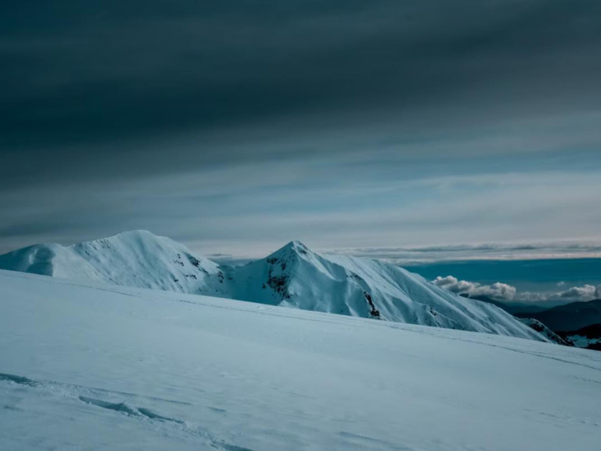 Antartide