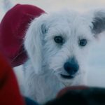 krypton e supergirl: krypto il cane supereroe al centro del nuovo dc universe di james gunn