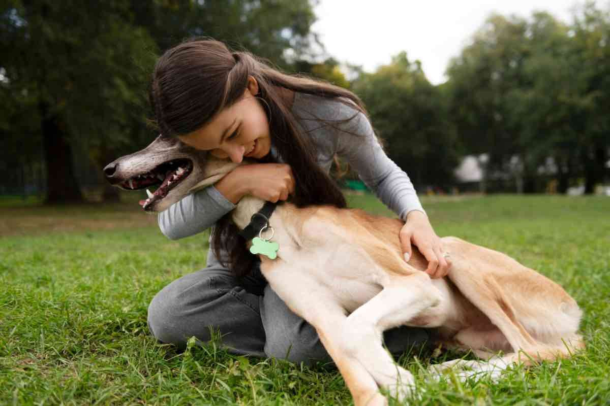 cani e comportamento