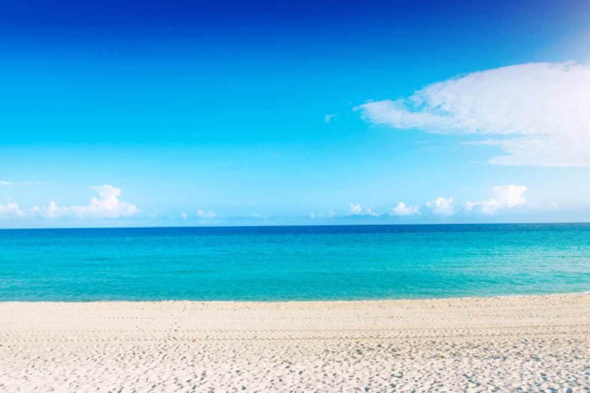 Mare