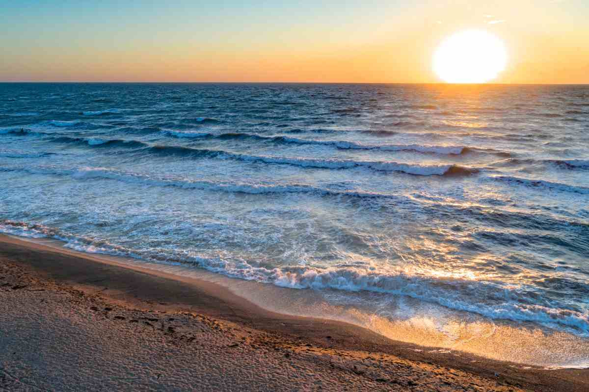 Mare
