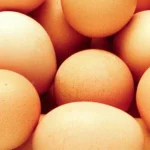 Allarme salmonella negli Stati Uniti: 97 contagiati e ritiro delle uova in 14 stati