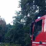 Allerta gialla in Friuli Venezia Giulia per temporali e vento forte con danni e interventi di soccorso