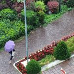 Allerta gialla per temporali intensi in Trentino e rischio di forti precipitazioni dal 28 al 29 agosto 2025
