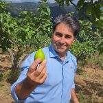 Emergenza cinghiali nel Parco Nazionale Del Cilento: danni e minacce all’agricoltura locale e prodotti tipici