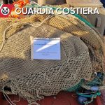 Sequestro di oltre una tonnellata di pescato irregolare in Molise: controlli intensi della Capitaneria Di Porto Di Termoli