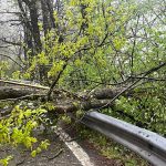 Vento e pioggia intensa mettono in ginocchio La Spezia e la Lunigiana con danni estesi e blackout