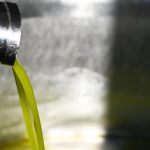 Produzione record di olio nelle Marche nella campagna 2024-2025, sfide e mercato internazionale