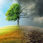 Roma sotto stress: caldo record e piogge violente, la città che cambia col clima